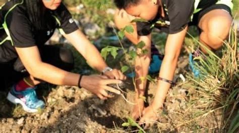 layunin ng denr|National Greening Project ng DENR, susuriin sa .